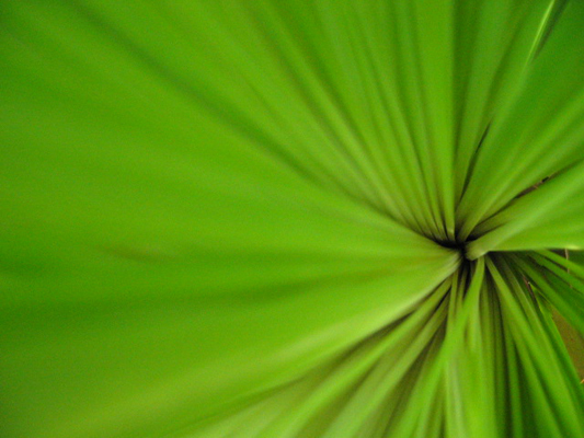 feuille3